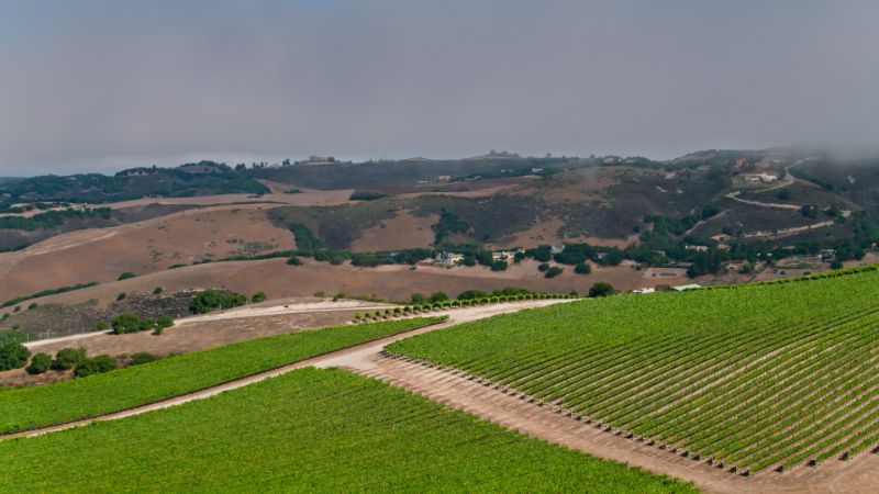 Carmel Valley
