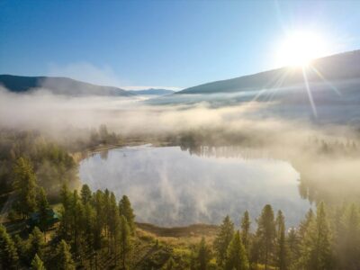 1d95867012a0da8f97ced5301844ccedw c526584110srd q80.jpg