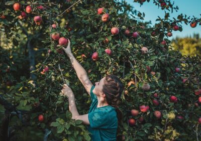 D0cf3043a507541220b0389f7ee259c8w c2098982268srd q80.jpg