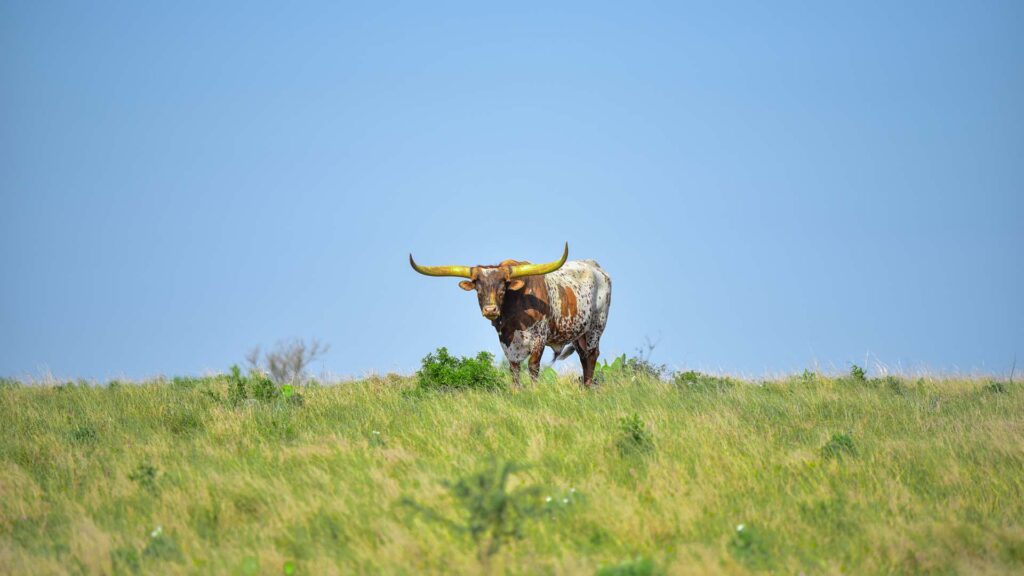 01 tmr featured image template 5.jpg