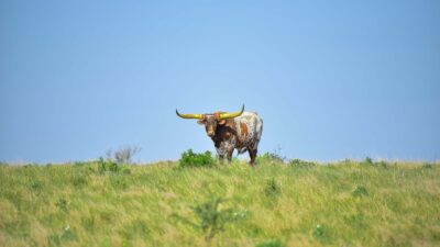 01 tmr featured image template 5.jpg