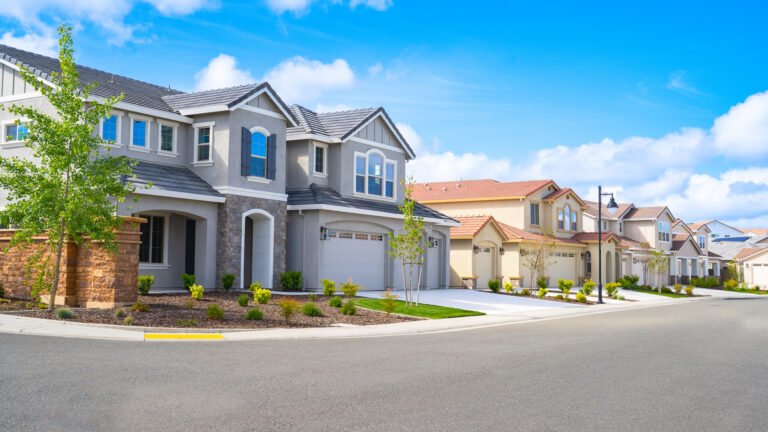 Rates, Loan Options & Customer Feedback